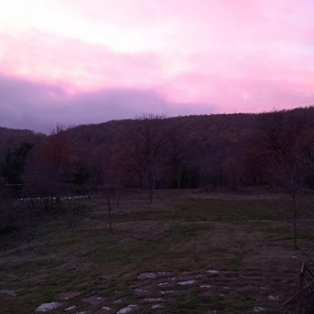 B&B Casale Ormano San Venanzo ภายนอก รูปภาพ