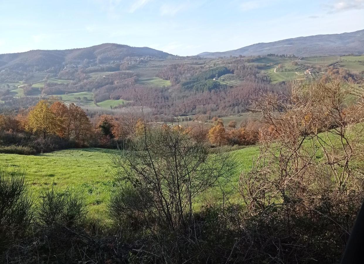 B&B Casale Ormano San Venanzo ภายนอก รูปภาพ