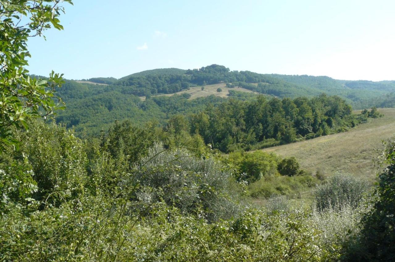 B&B Casale Ormano San Venanzo ภายนอก รูปภาพ
